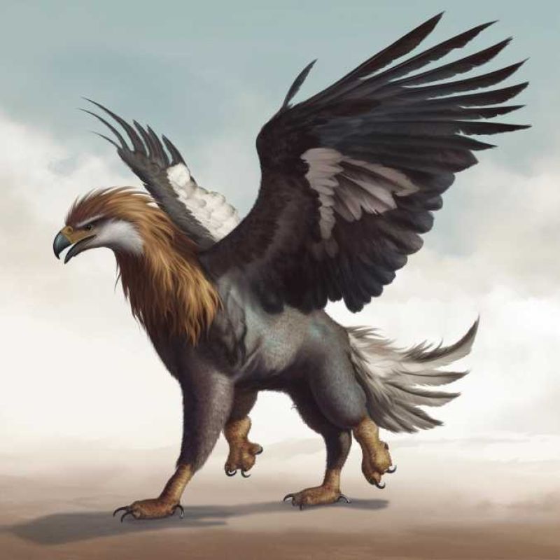 Hippogriff 1