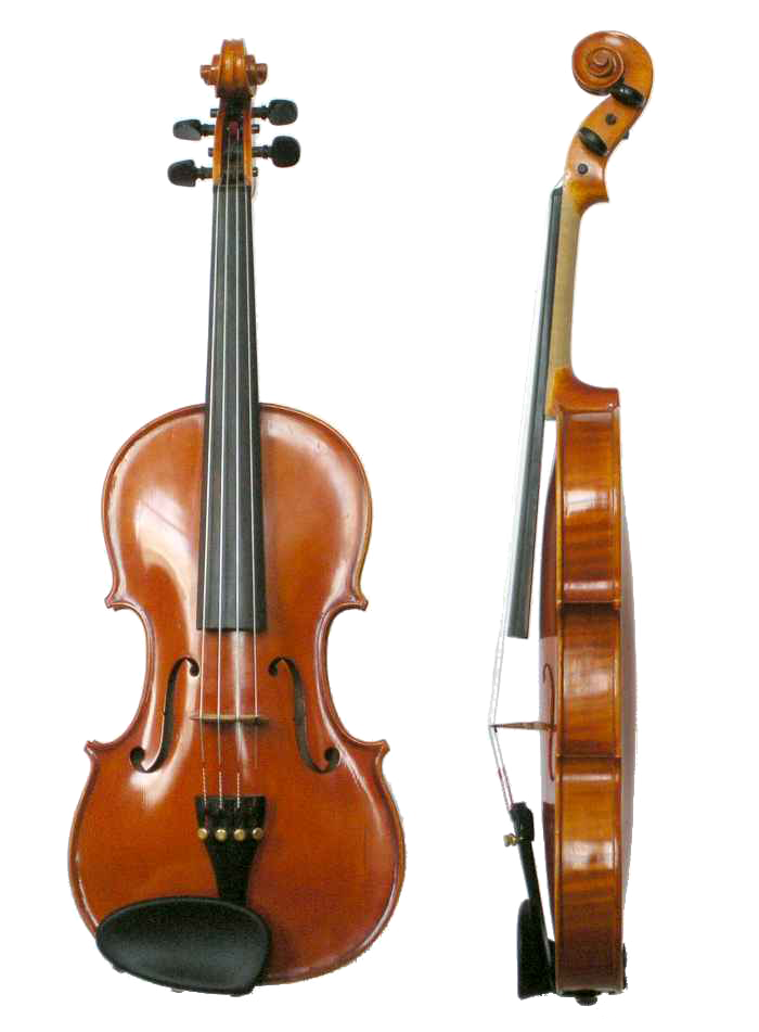 Violin