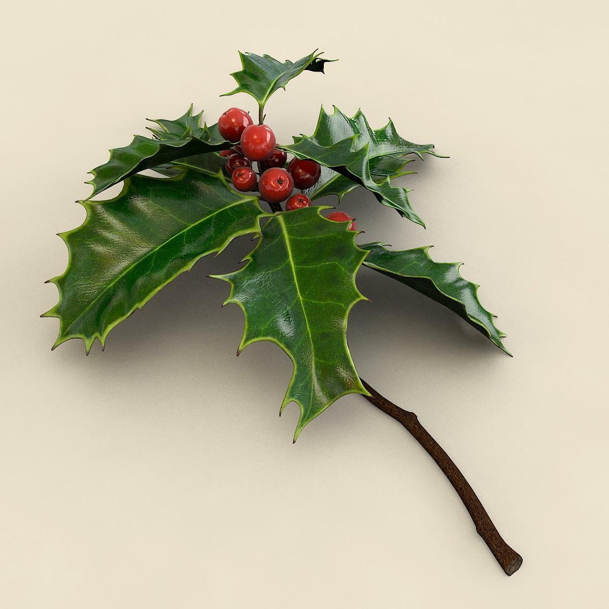 Spellcasting Focus: Sprig of Mistletoe