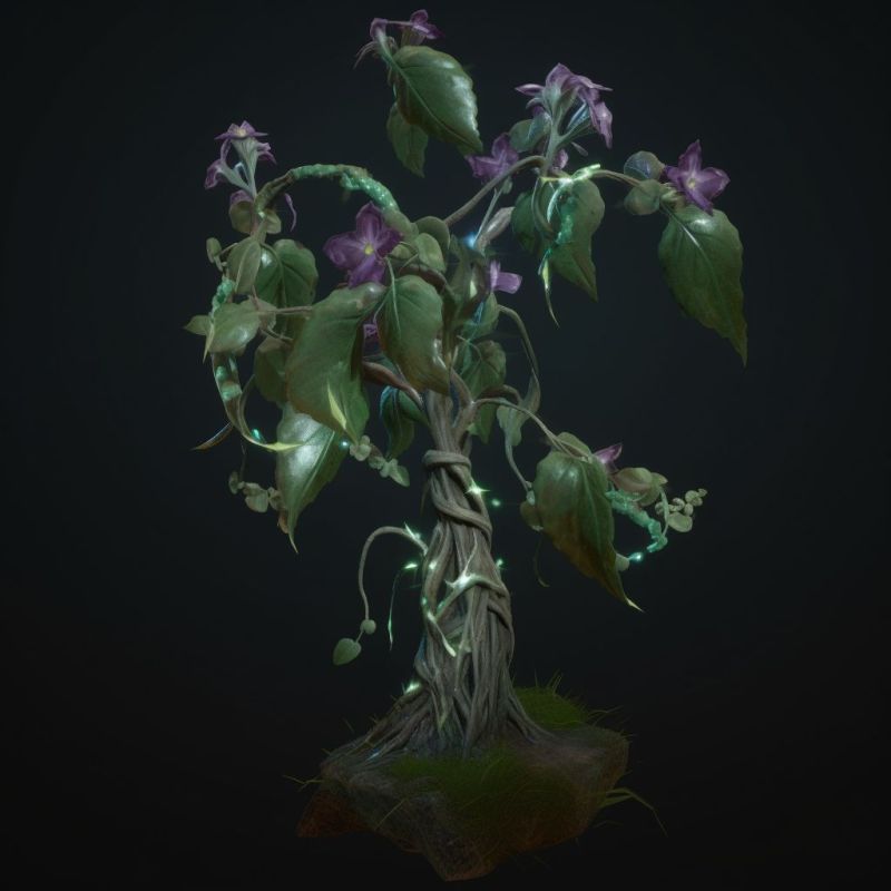 Stormvine Plant