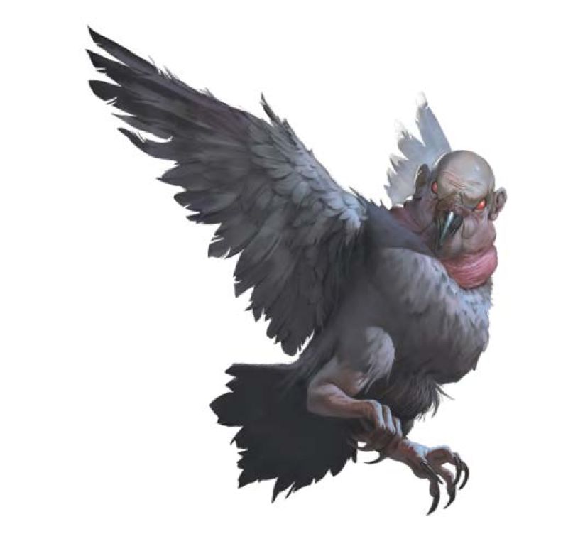 Vermin Familiar, Pigeon 1