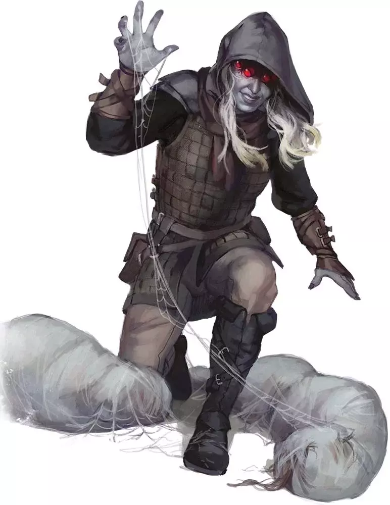 Drow Arachnomancer