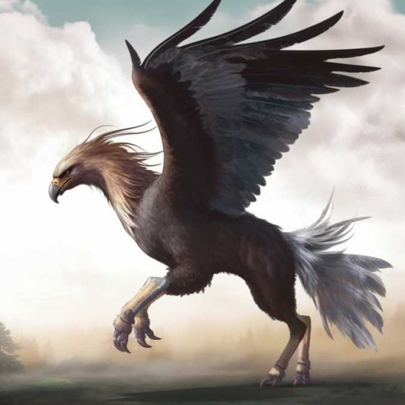 Hippogriff 2