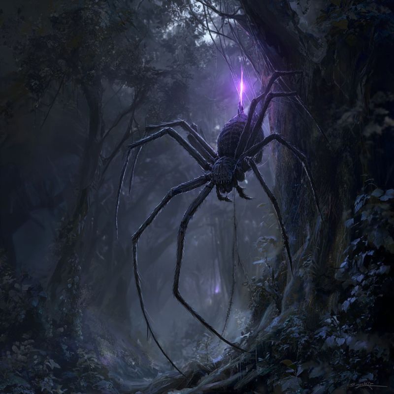 Night Shade Spider 1