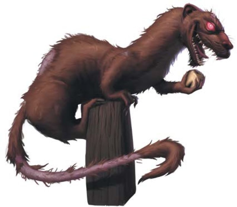 Vermin Familiar, Weasel 1