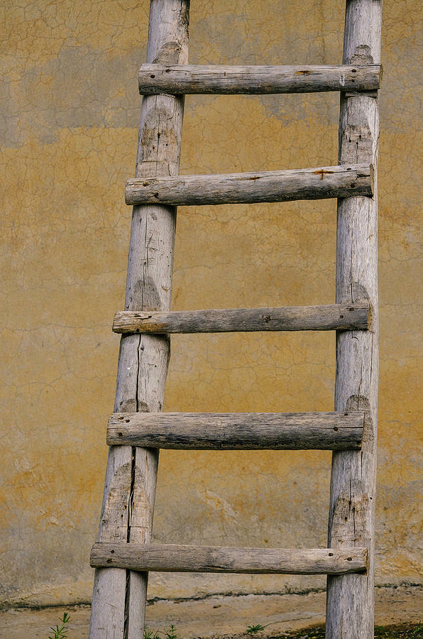 Ladder, 10 feet